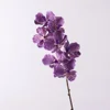 Viola intenso