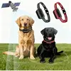 Multicolore pour 2 chiens