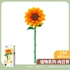 655069 sunflower