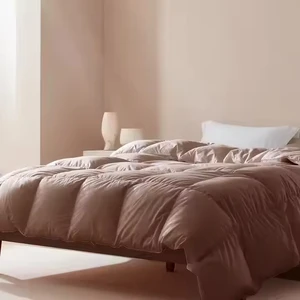 Wholesale Queen Size Comforter Feather Down Thick Fluffy Duvet Luxury Hotel Bedding Quilt