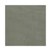 #06	Gris claro