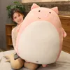Le cochon40cm