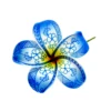 PRF-256  Blue