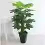 1-meter zongzi bundle-attract wealth-48 leaves-gift grass