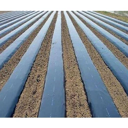 Китайская фабрика поставляющая пластмассовый материал не переработанный высокоструйный полиэтиленовый цветной мастер-пакет/черная