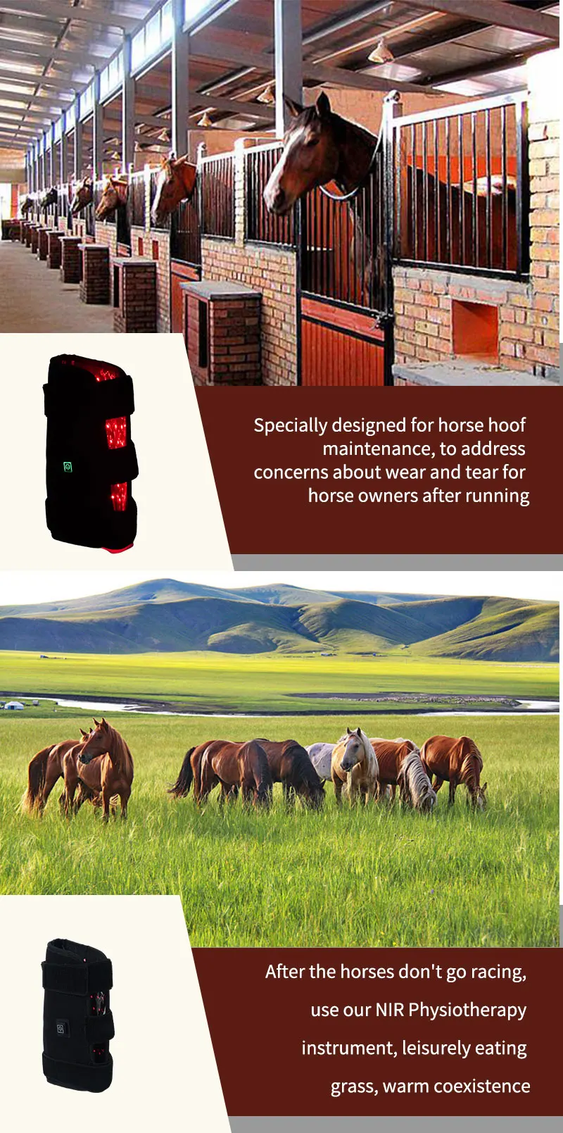 Equine Therapy Equipment Pemf Therapy Machine Red Light Massage Therapy Blanket For Horses Knee