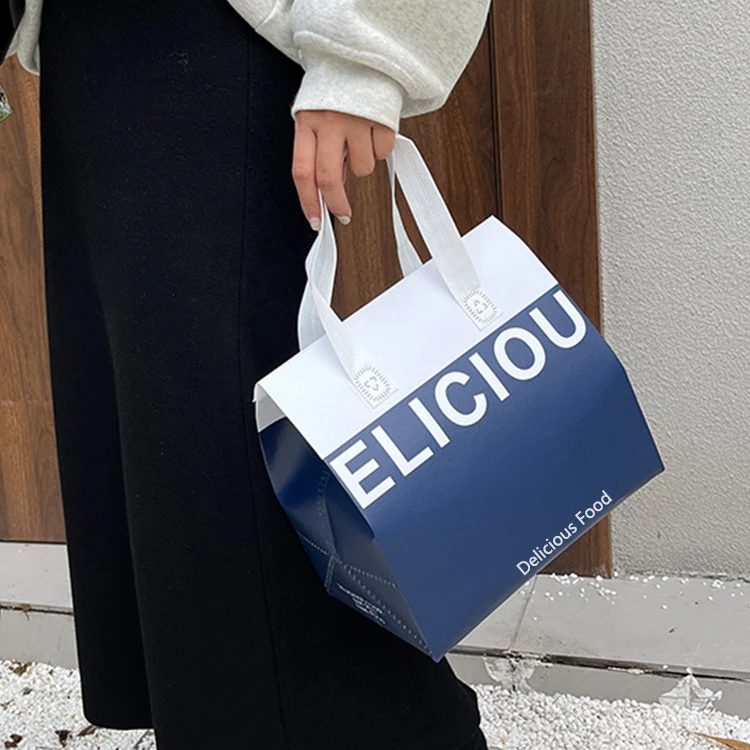 Disposable cooler bag (2).jpg