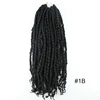 # 1B Pre Twisted Pasión Twist