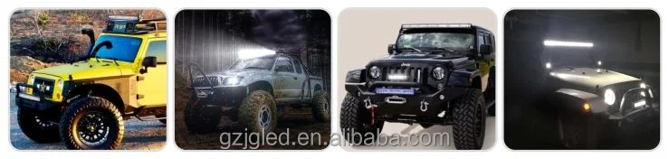 DLB-.jpg
