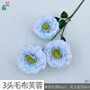 3-headed fuzzy hibiscus BD blue