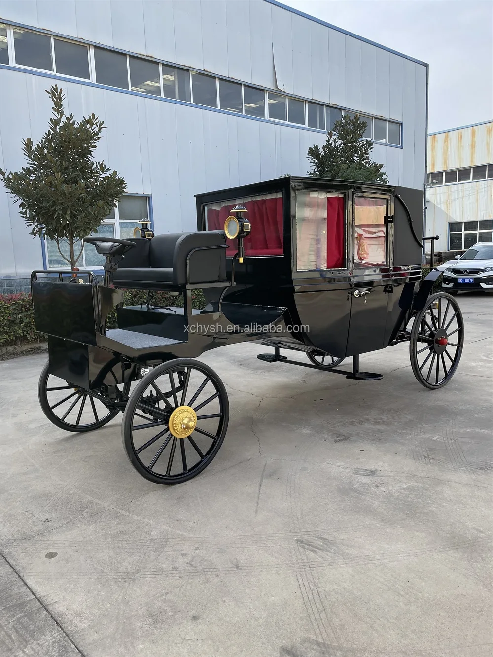 American's Favorite Electric Buggy/black Sightseeing Horse Carriage For