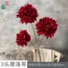 3 Moroccan TY Red
