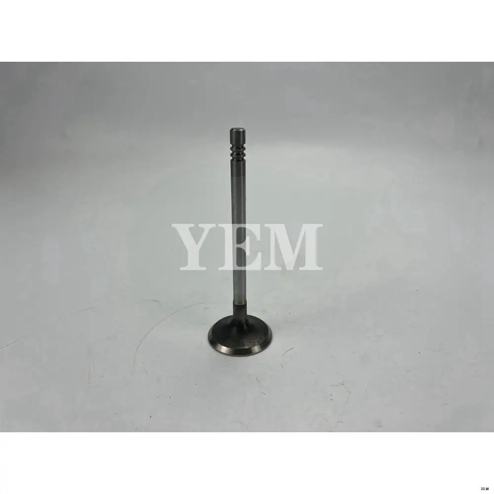 D34 Inlet Valves Kit 410112-00094 for Doosan