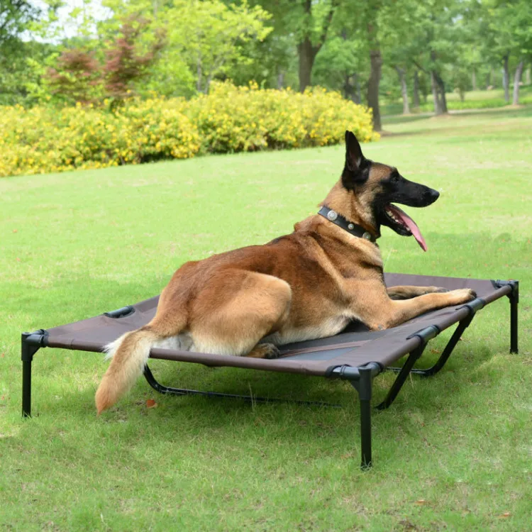 Elevated dog bed (1).jpg