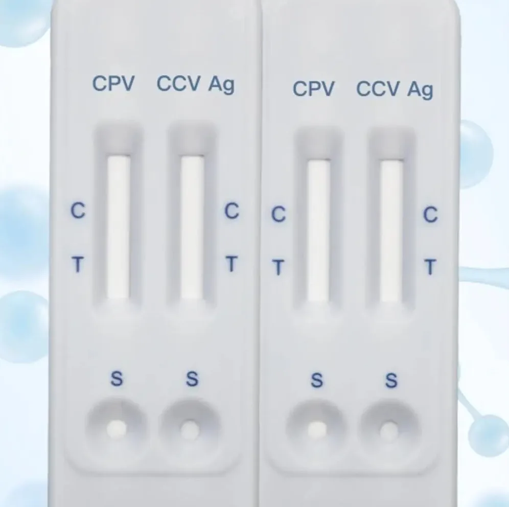 Pet Test Feline Heartworm Prevention Antigen Rapid Test Fhw Ag Test For