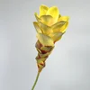 สีเหลืองเข้ม