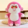 12(contact us for catalog)