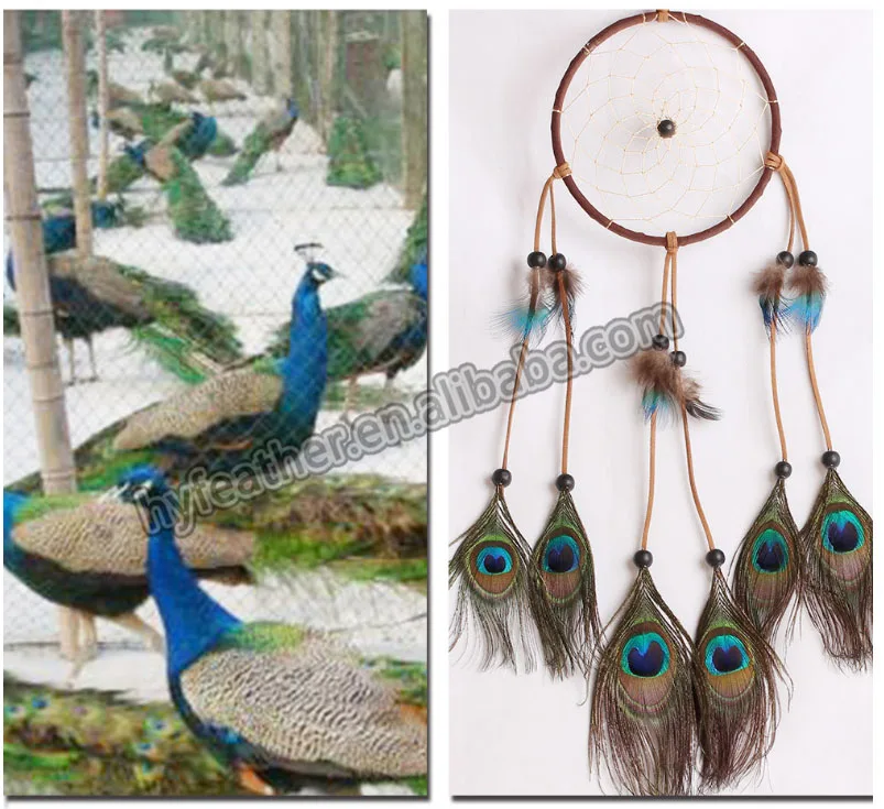 Handmade Dream Catcher Wall Decor - Rattan With Peacock Feathers & Beads, Boho Indian Decor For Bedroom - View #11