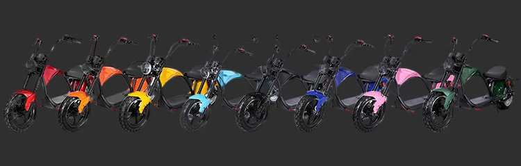 CE/EEC/COC Certificate 60V 20AH Lithium Battery 2000W Motor Electric Scooter Adult Citycoco Large Electric Motorcycle