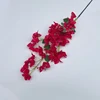 #4 fiori di bouganville rossi