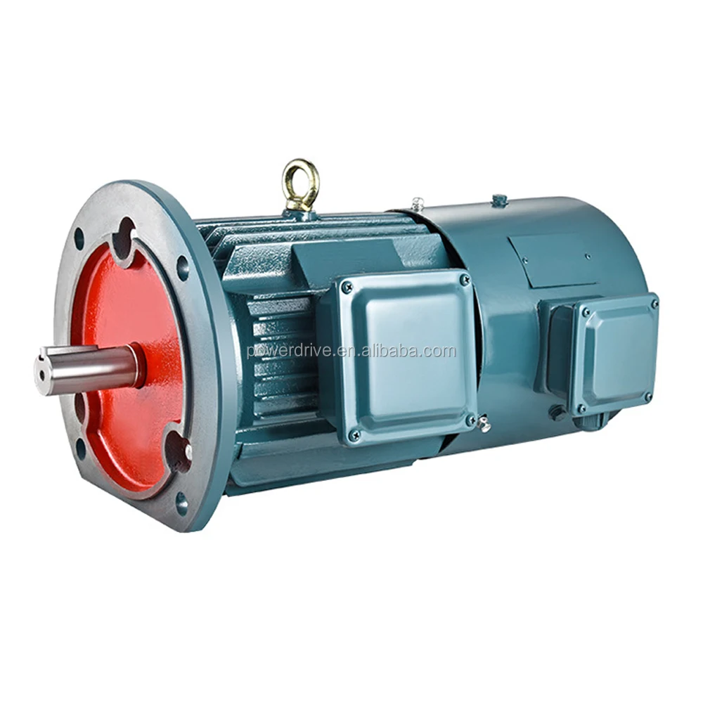 YS8024 Three Phase Asynchronous Motor