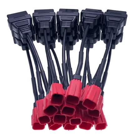 paste-pic-dp_uuid_ab8r6