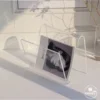 Transparent