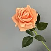Rosa hidratante de tallo único, color melocotón rosado.