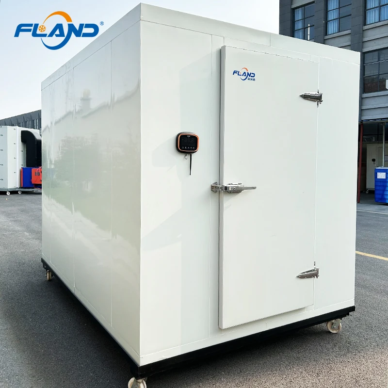 Walk In Freezer Cooler Equipment Rvt Alibaba.com: Walk-in Cooling Container, Solar-Powered Freezer Container ...