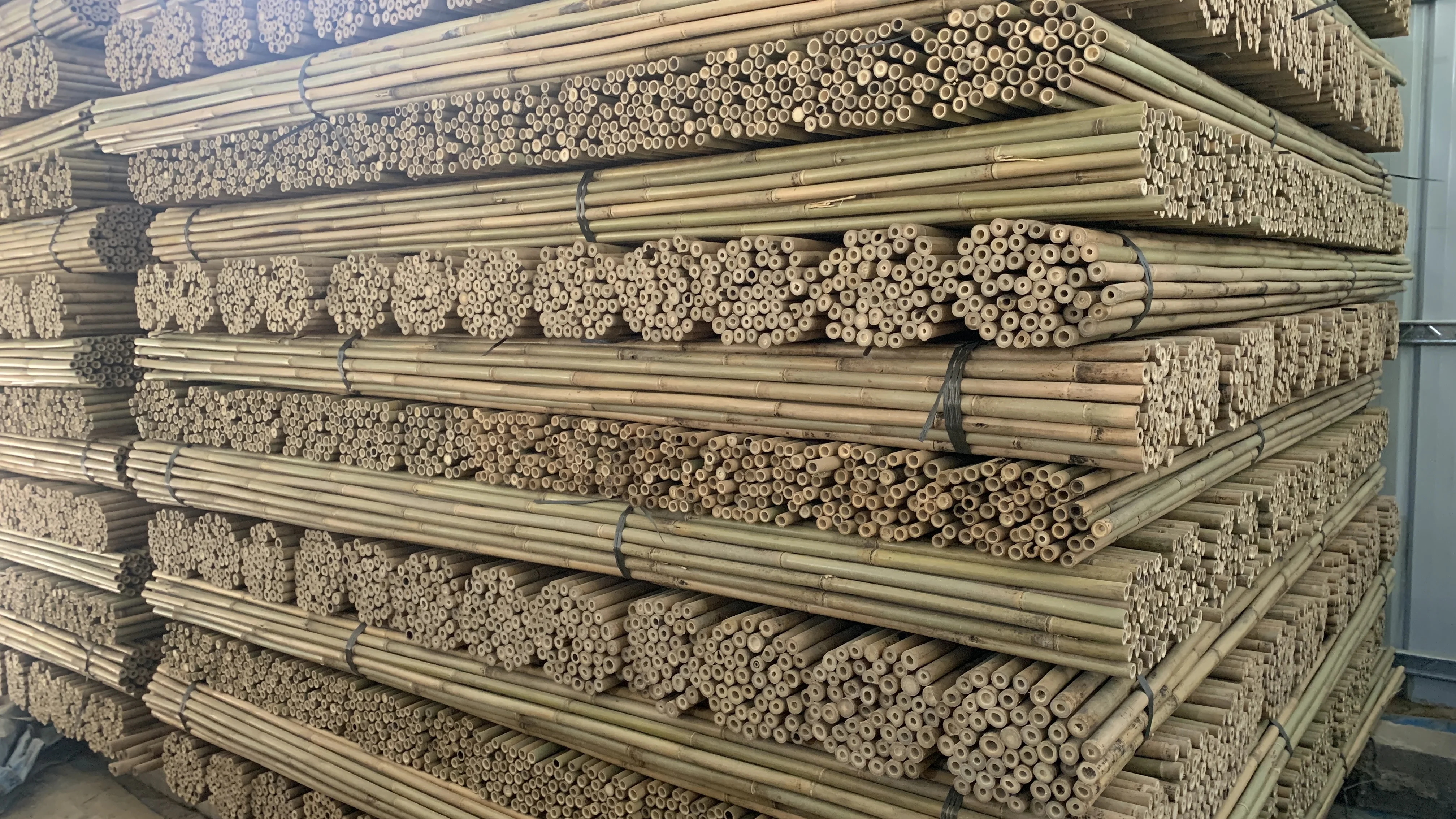 Tonkin Bamboo Stakes Bamboo Poles Wholesale Bamboo Raw Materials Buy