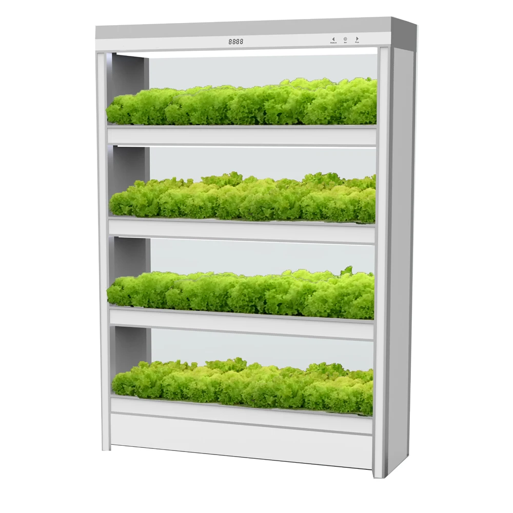 Kecil Cerdas Bibit Sayuran Hidroponik Indoor Tumbuh Sistem Planter Box - Buy Cerdas Bibit Sayuran Indoor Hidroponik Tumbuh Sistem Hidroponik Indoor Planter Box Product On Alibabacom