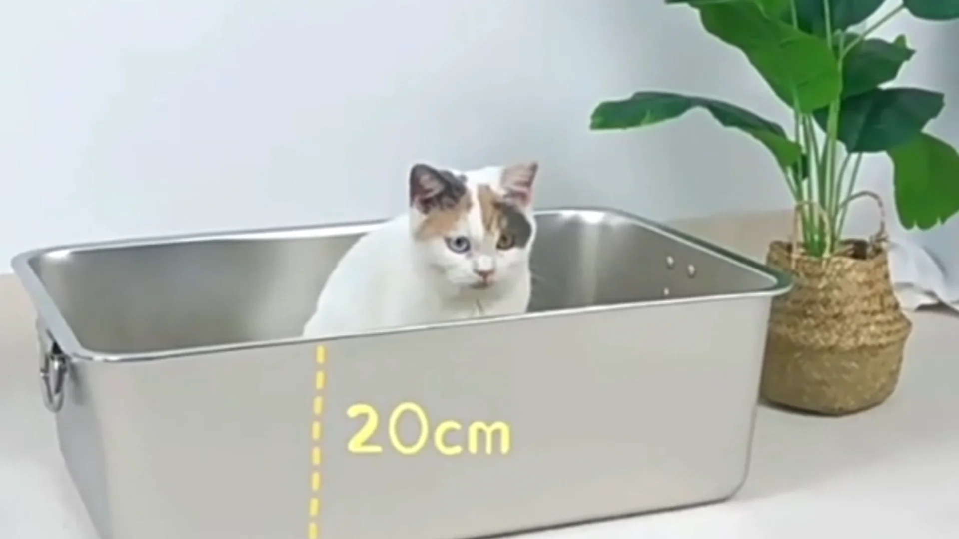 Stainless Steel Cat Litter Box Large Metal Open Cat Litter Box Tray Pan