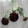Vino rosso