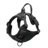 Black, Harness