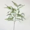 Green big persian