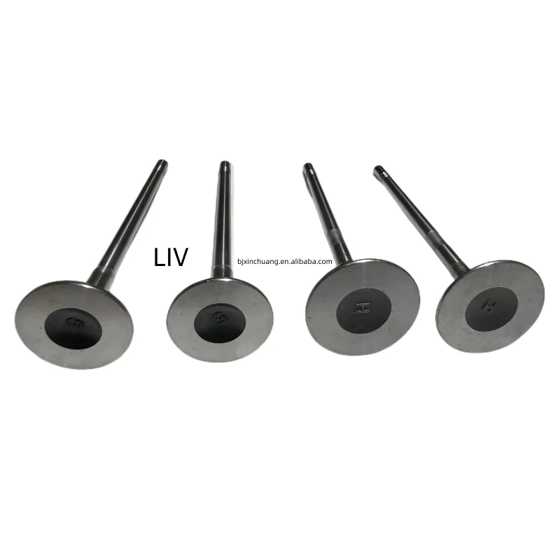 Automotive parts cylinder head/inlet valve/exhaust valve 1.0T LIV 