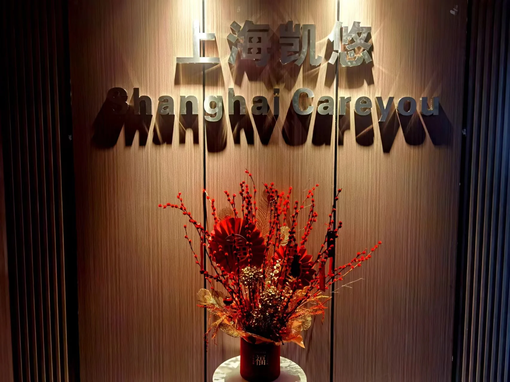 Shanghai Careyou Trading Co., Ltd. 1