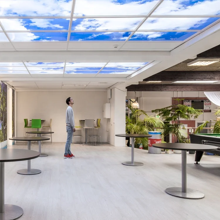2021 LED Panel Light Picture Office Frame 3D Photo Blue Sky Ceiling Panel Paper Artificial Cloud Virtual Skylight Led Panel