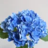 Bleu foncé