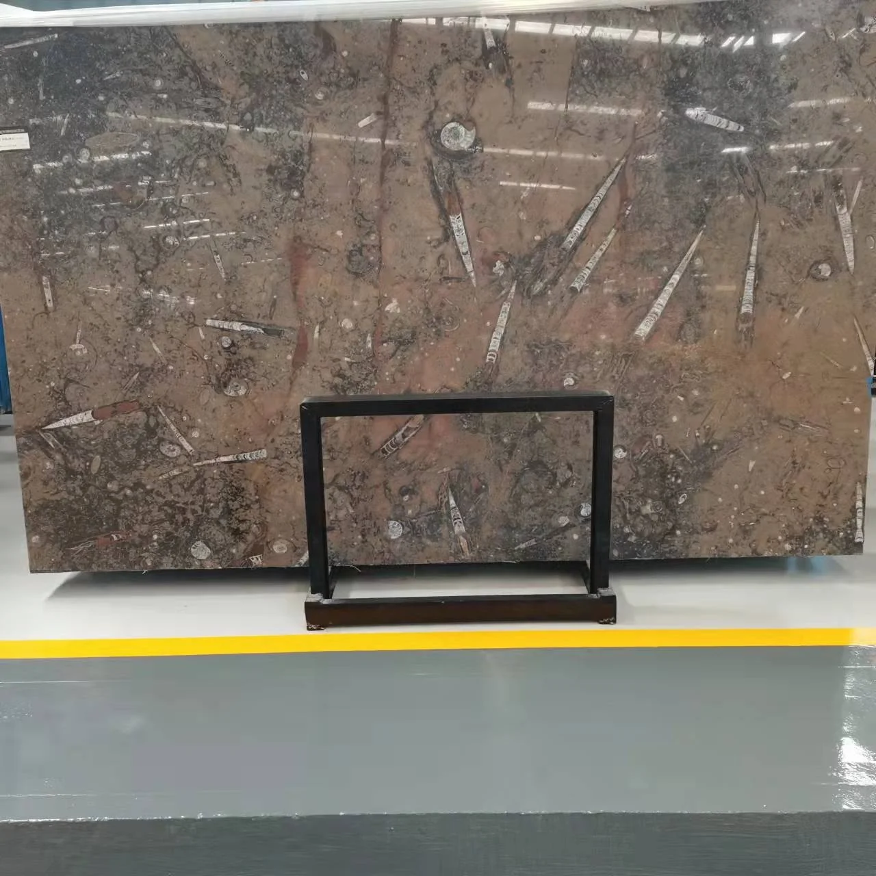 Hot Sale Natural Moroccan Fossil Marble With Low Price