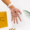Sac d'emballage en cellulose certifié FSC