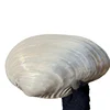 colore naturale BZ-9557