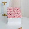 Rosa-16-Quadrato