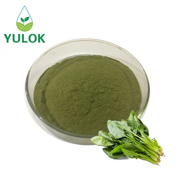 Factory Wholesale Healthy Snack High Quality Food Grade Spinach Extract Powder for Baking