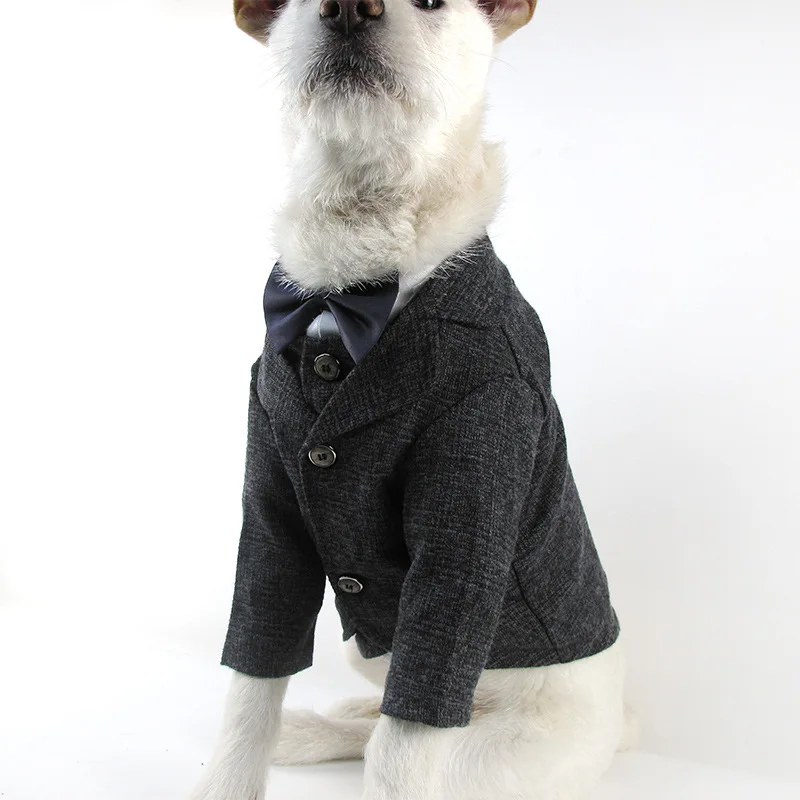 Pet clothing and accessories