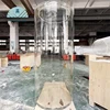 transparent