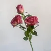 Rose pink