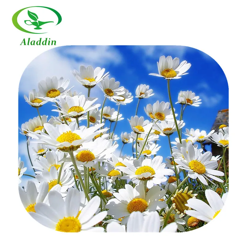 Herbal Feverfew Extract Powder Parthenolide Feverfew Extract