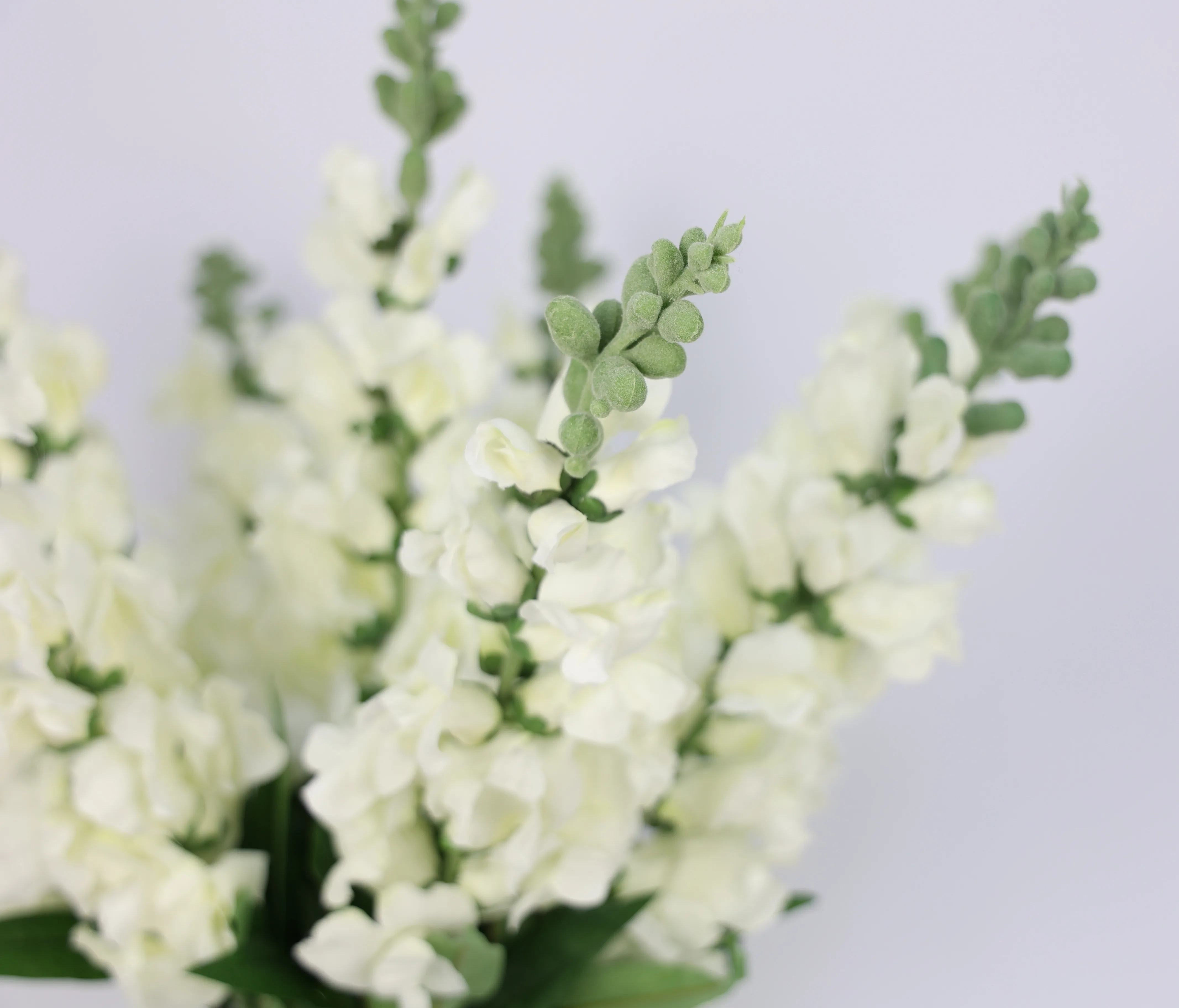 Wholesale High Quality Artificial Snapdragon Flower Silk For Wedding