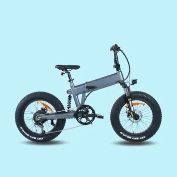Electric Assisted Bicycle 6 Speed 250W Electric Motor